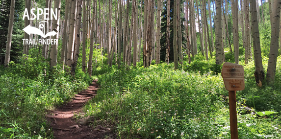 American Lake Trail