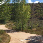 Annie B. Mitchell Trail