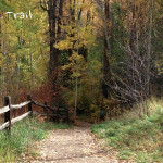 Hunter-Creek-Trail-Aspen