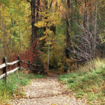 Hunter Creek Trail