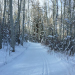 Owl-Creek-Trail-Nordic-Winter-Snowmass-Village
