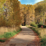 Rio-Grande-Trail-Aspen-Glenwood