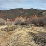 Rio-Grande-Trail-Mile-Marker