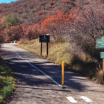 Aspen Mass Trail