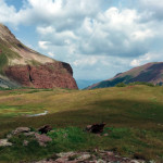 East-Snowmass-Trail-Maroon-Bells-Snowmass-Wilderness