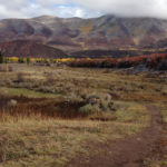 Moore-Trails-Fall-Aspen