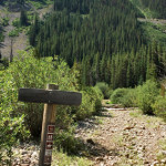 New York Creek Trail