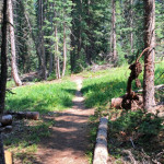 Sierra Club Trail