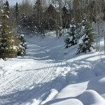 Sleigh-Ride-Trail-Winter-Snowmass-Village