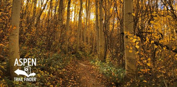 Tom Blake Trail