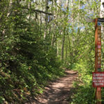 Tom-Blake-Trail-Summer-Snowmass-Village