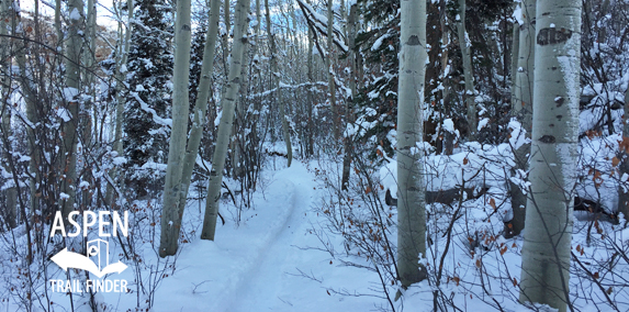 Tom Blake Trail