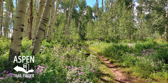 Vista Trail