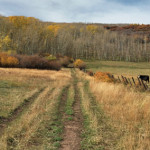 Hay Park Trail