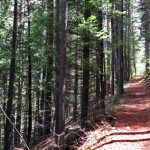 Ruedi Trail