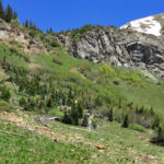 Avalanche Pass Trail