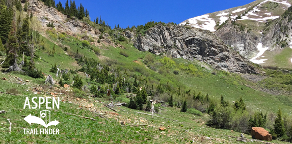 Avalanche Pass Trail