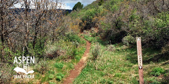 Forest Hollow Trail