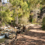 Grizzly Creek Trail