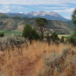 Hillside Trail