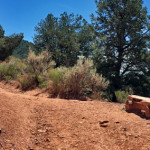 Pioneer Cemetery Trail