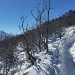 Red-Mountain-Trail-Winter-Glenwood-Springs
