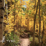 Behind-The-Sign-BTS-Trail-Aspen
