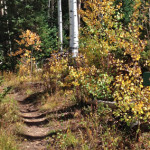 Lollipop-Trail-Aspen