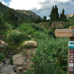 Linkins Lake Trail
