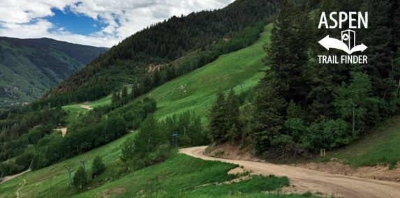 Aspen Mountain Summer Road