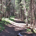 Shadyside Trail