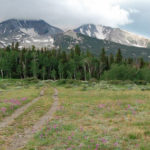 Thomas Lakes Trail