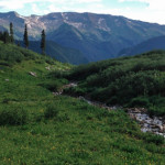 North Fork Cutoff Trail