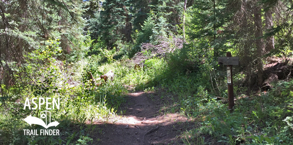 Cattle Creek Trail