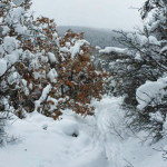 Ditch-Trail-Basalt-Mountain-Winter-Basalt