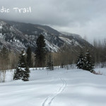 Benedict-Nordic-Trail-Aspen