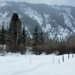 Benedict-Trail-Winter-Nordic-Aspen