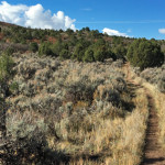 Buckhorn Trail