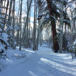 Terminator-Trail-Winter-Snowmass-Village
