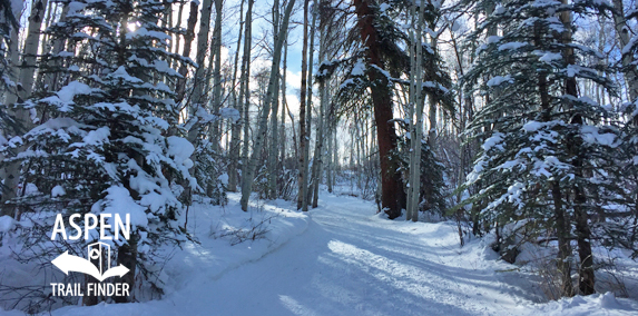 Terminator Trail