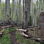 Placita-Trail-Wilderness-Redstone