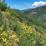 Raspberry Creek Trail