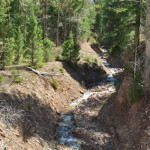 Bulldog Creek Trail