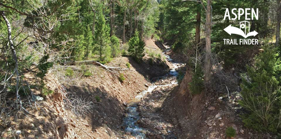 Bulldog Creek Trail