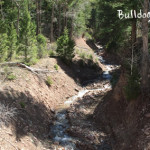 Bulldog-Creek-Trail-Carbondale