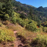East Creek/Gift Creek Trail