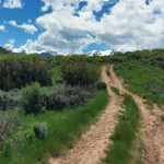 BLM-Road-8334-Light-Hill-Basalt
