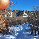 Christmas-Tree-Trail-Winter-Prince-Creek-Carbondale