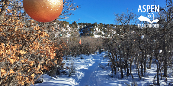 Christmas Tree Trail