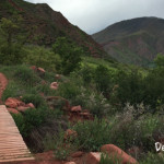 Defiance-Trail-Glenwood-Springs